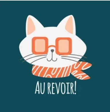 Cat Says Au Revoir in French meaning Goodbye in English
