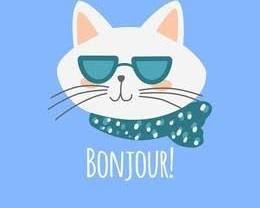 Cat with coolers saying Bonjour in French meaning Hello or Good Morning in English